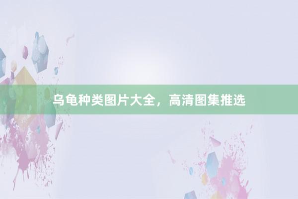 乌龟种类图片大全，高清图集推选